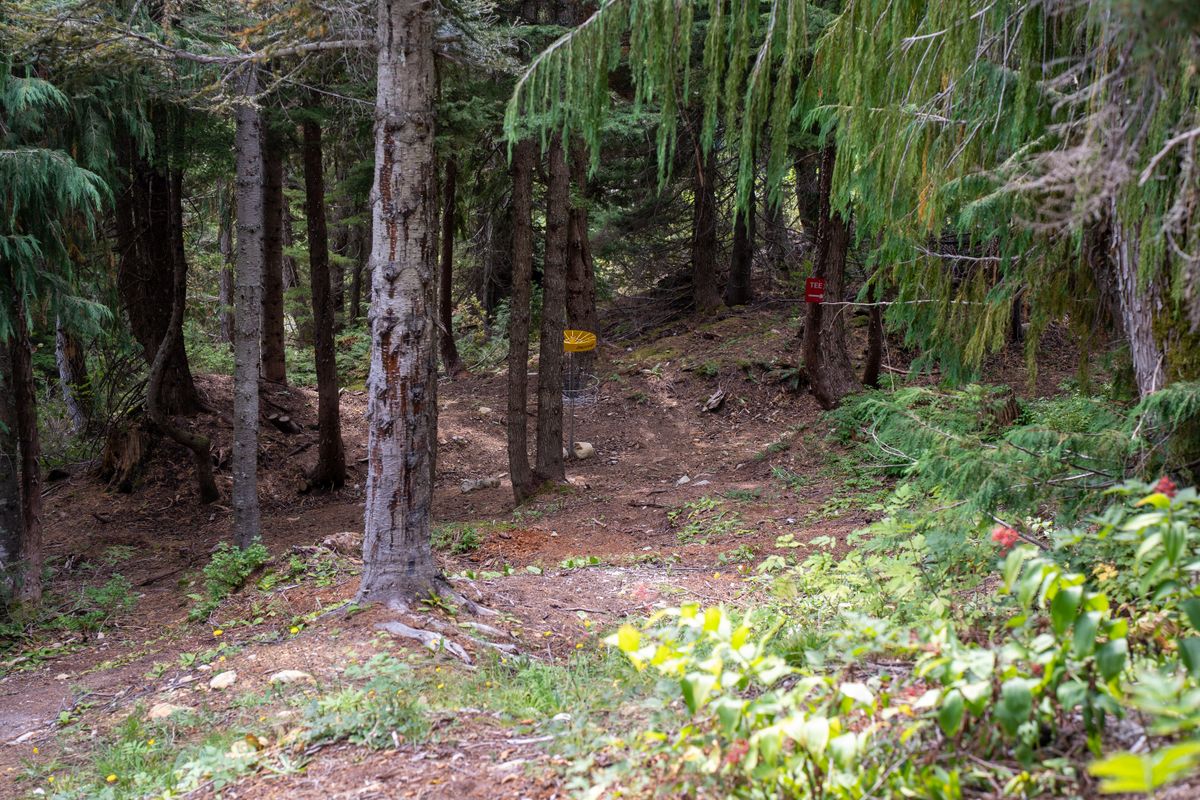 Hole 6