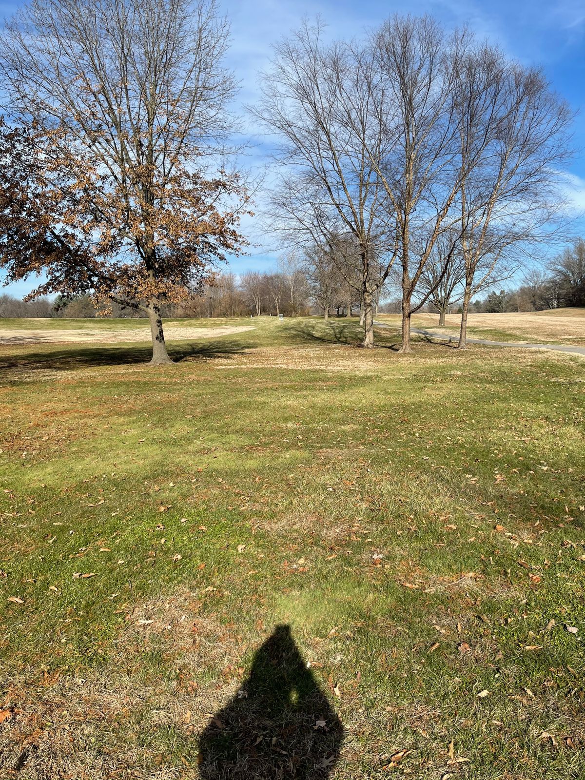 Hole 15s tee pad view