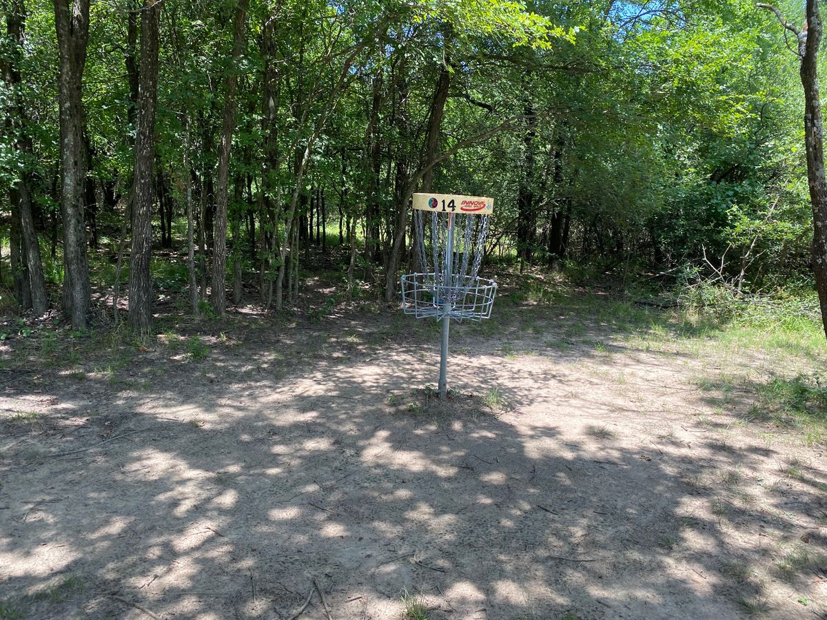 Hole 14 Basket