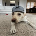 notericmoore