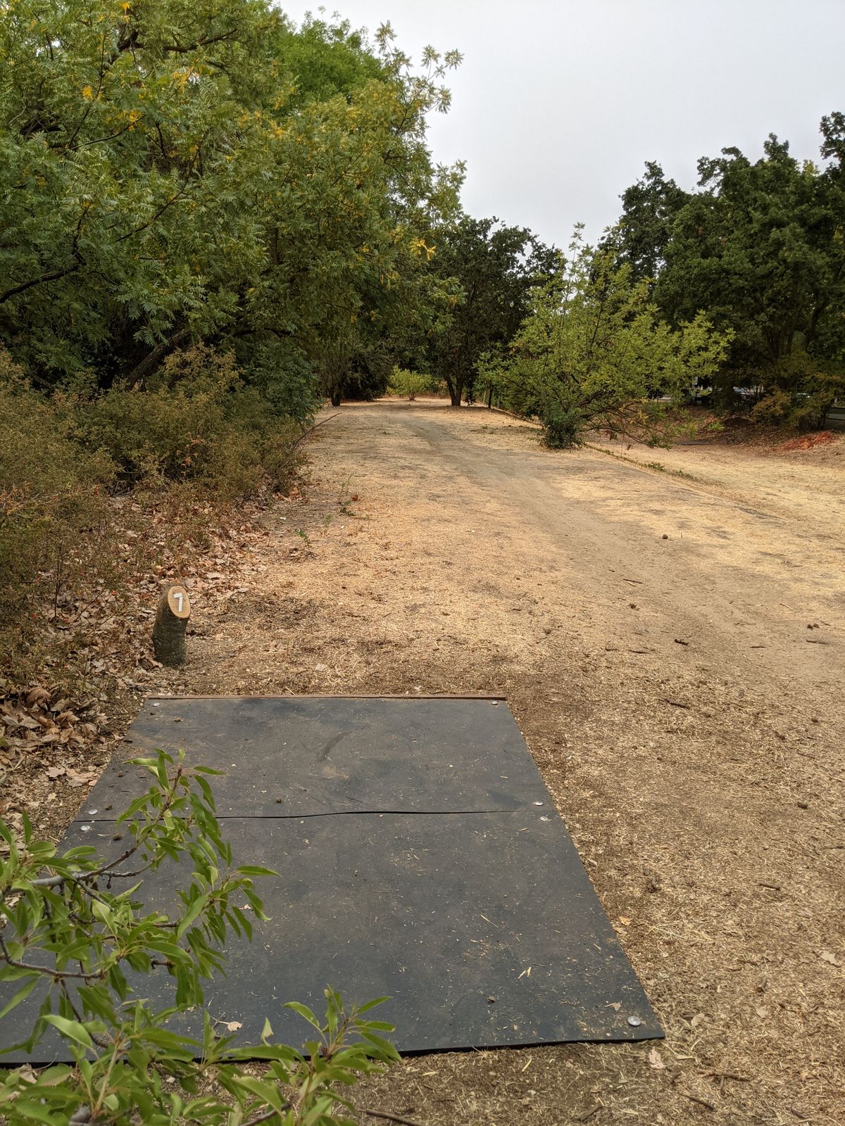 Tee #7 (Y tree down the right is a mando left to avoid throwing near Tee #8. Best throw js a forehand skip down to the basket)
