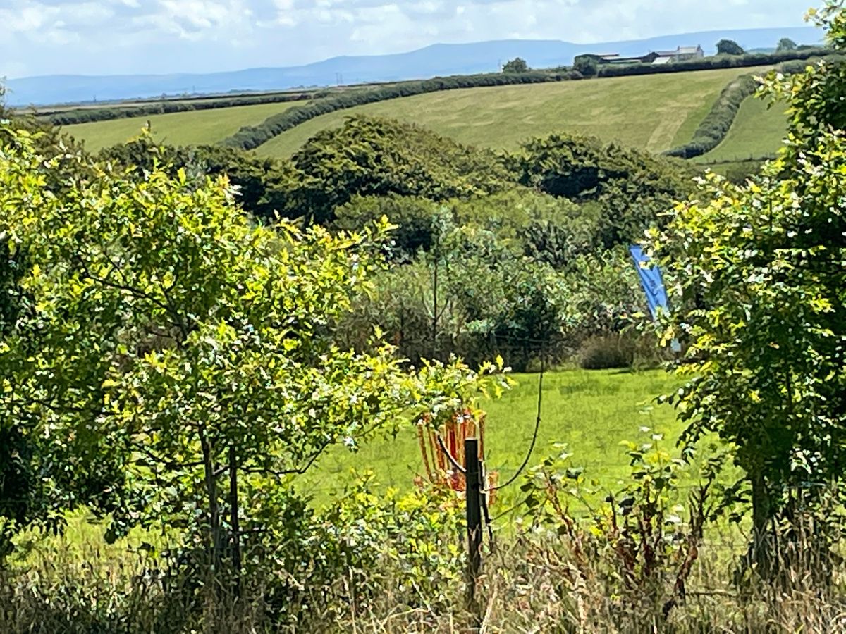 View from tenth green across twelfth to  Dartmoor on the horizon.