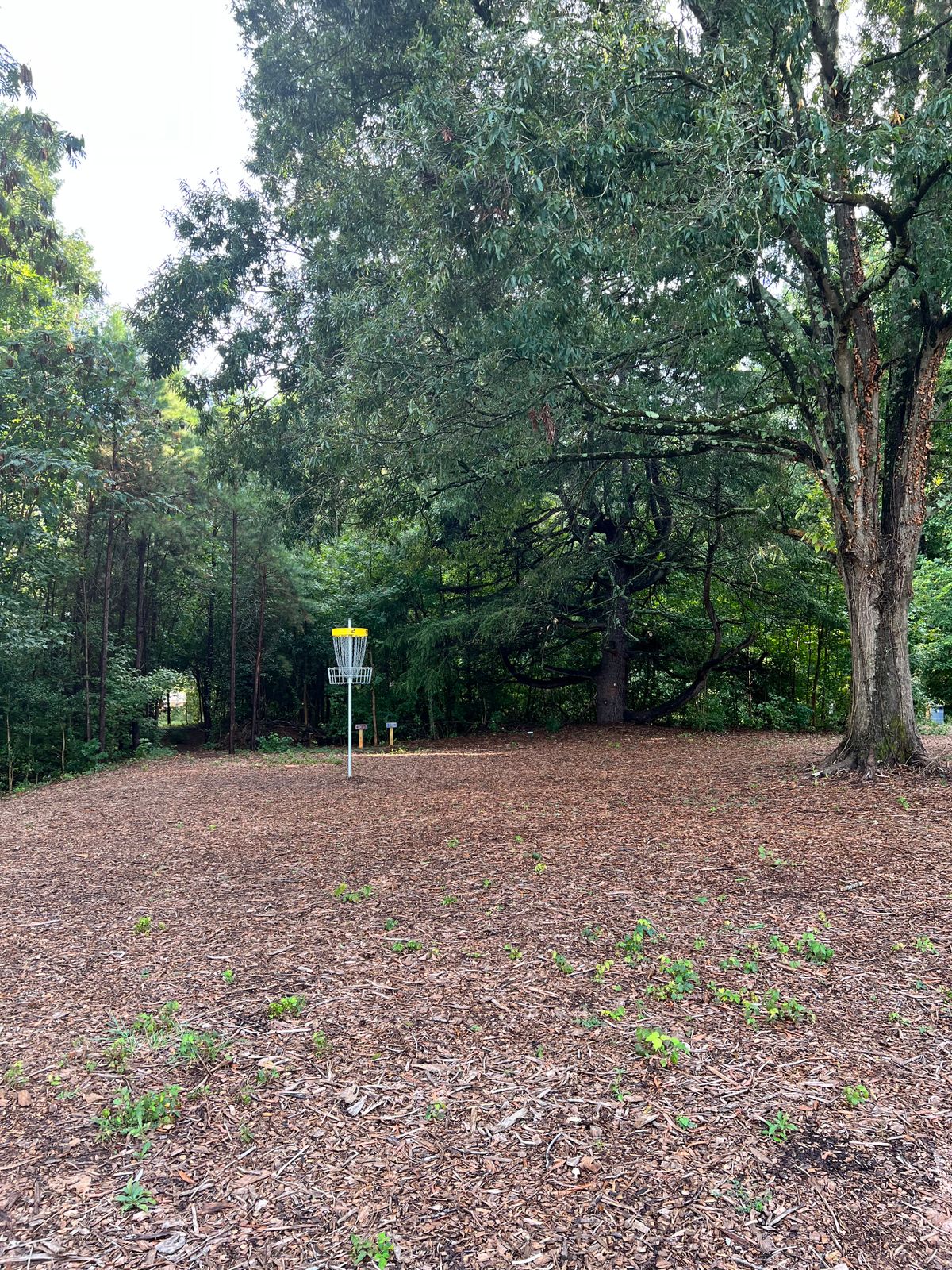Green hole 2