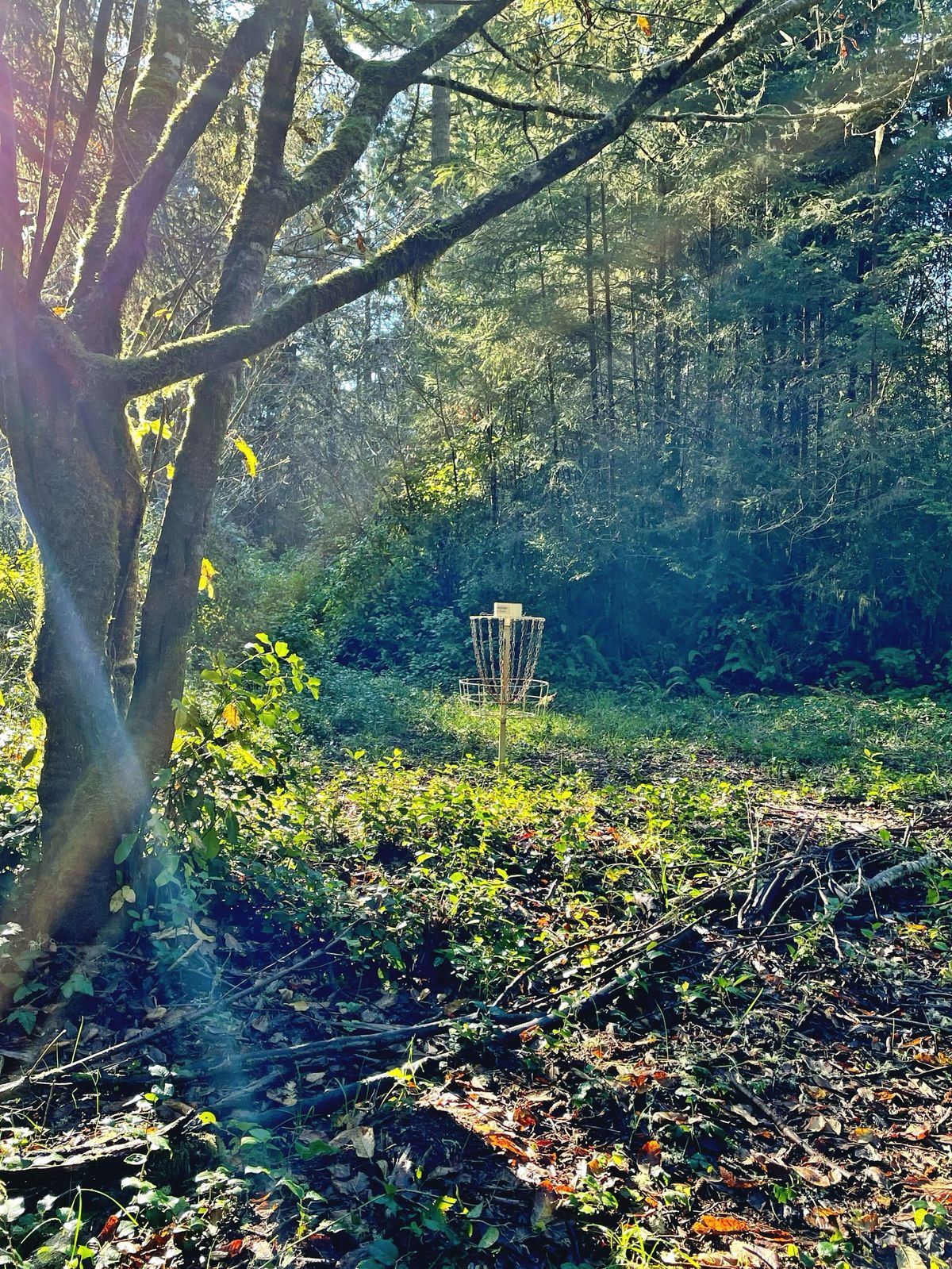 Short Pin hole 3