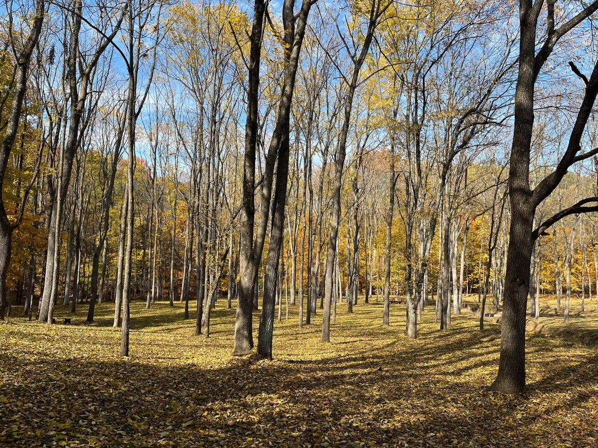 Hole 8 fairway