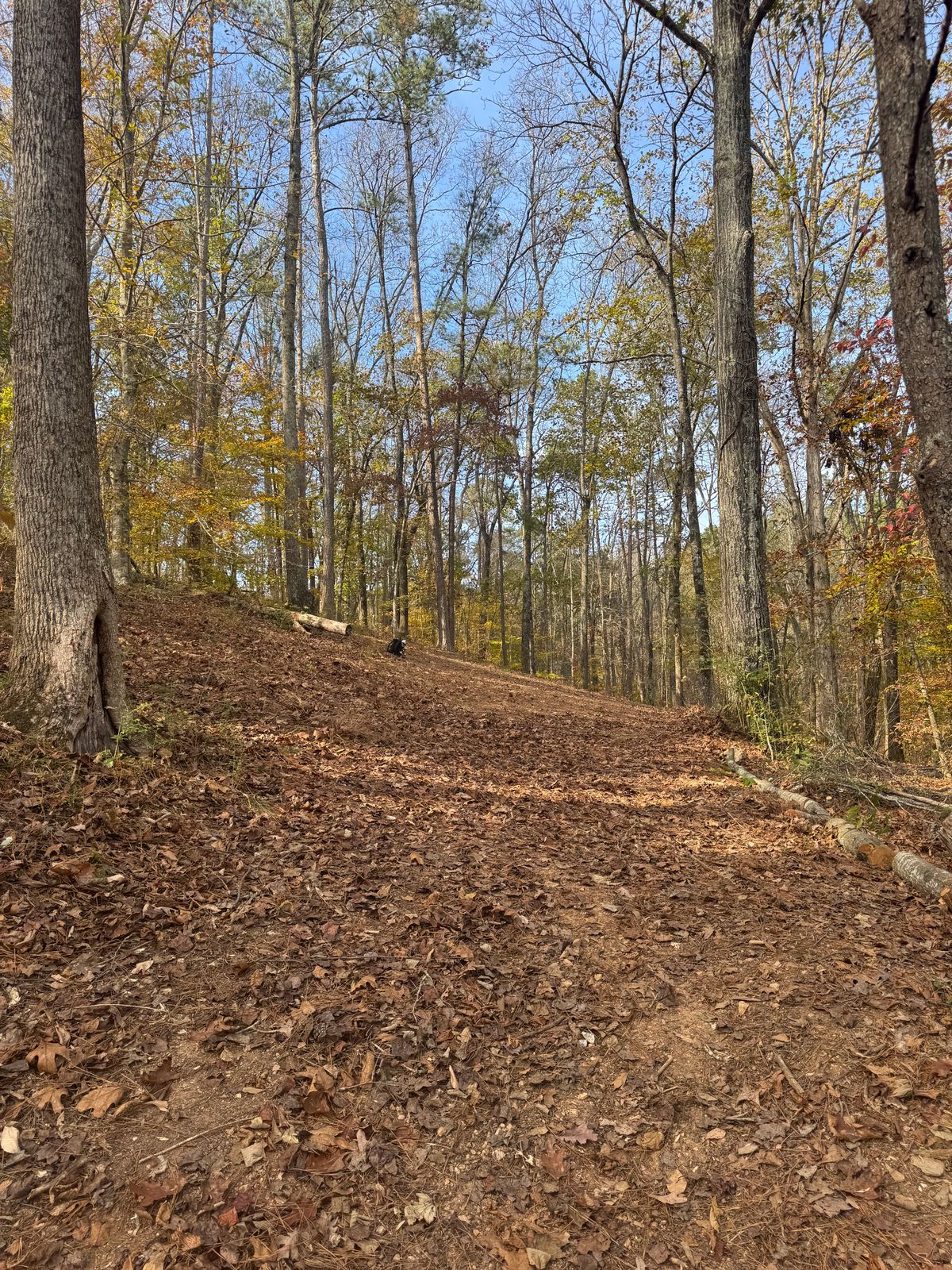 Hole 2 Fairway