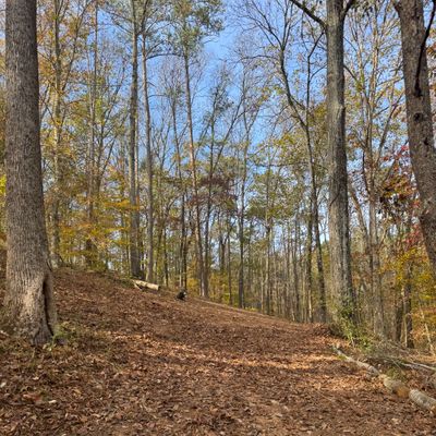 Hole 2 Fairway