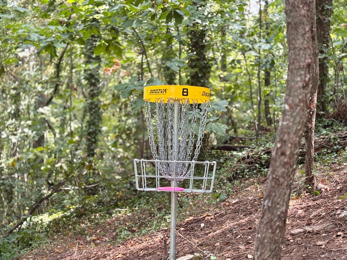 Hole 8 basket