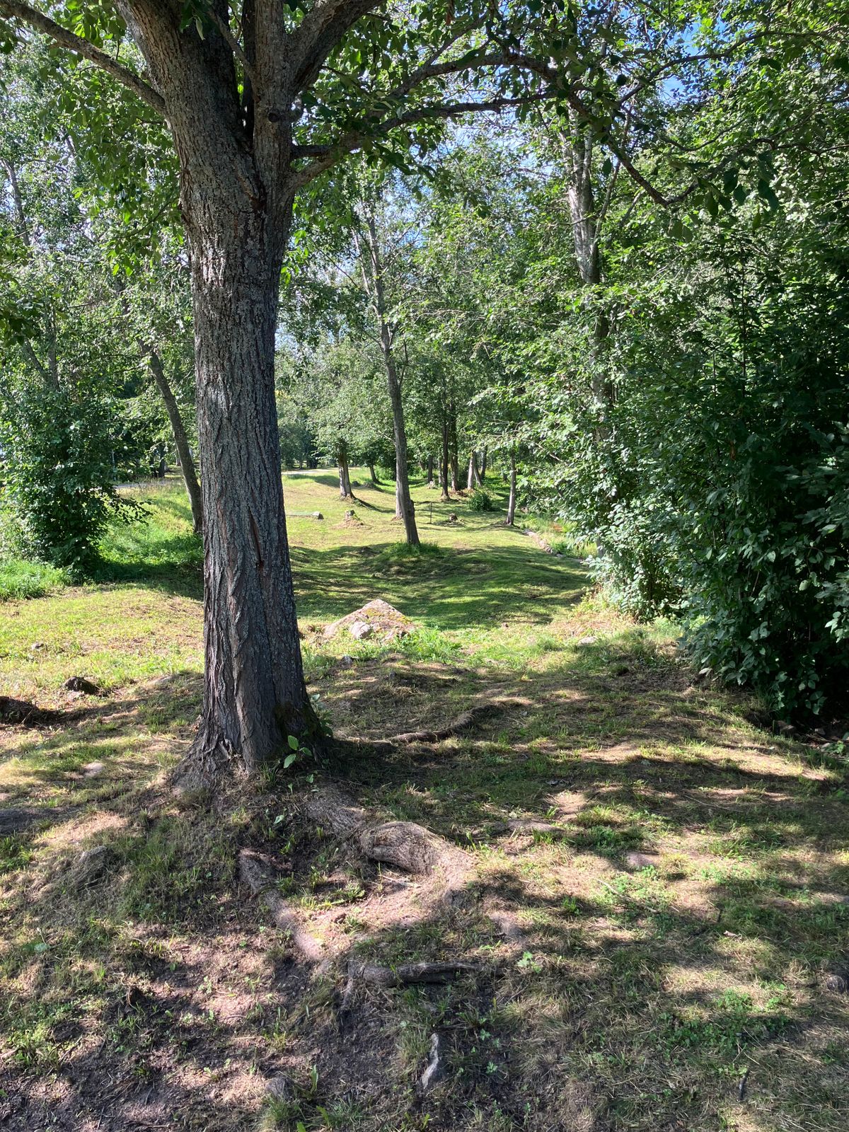 Hål 15, Fairway