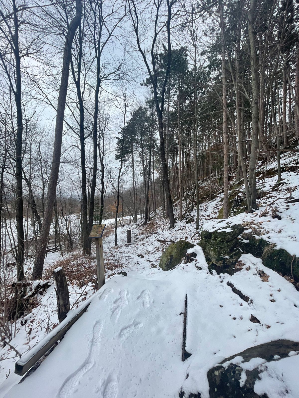 Hole 4’s tee pad
