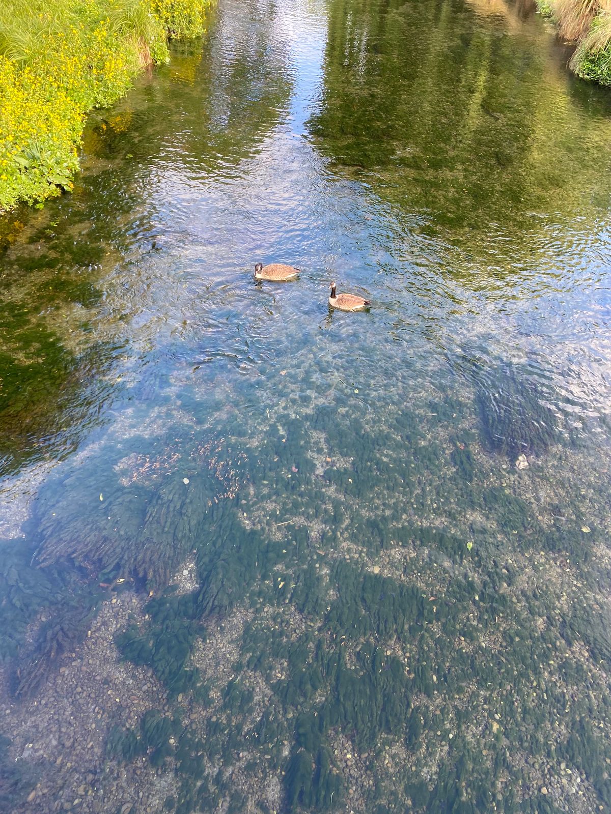 Visiting from America and was blown away by the quality of this course!!! 10/10