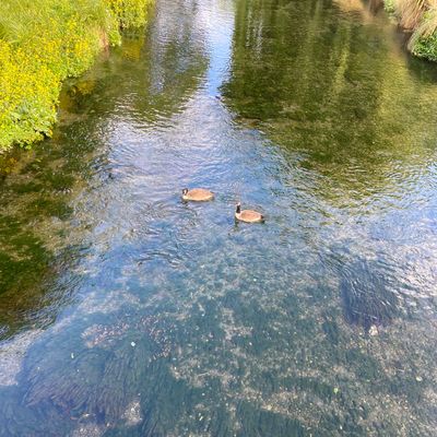 Visiting from America and was blown away by the quality of this course!!! 10/10