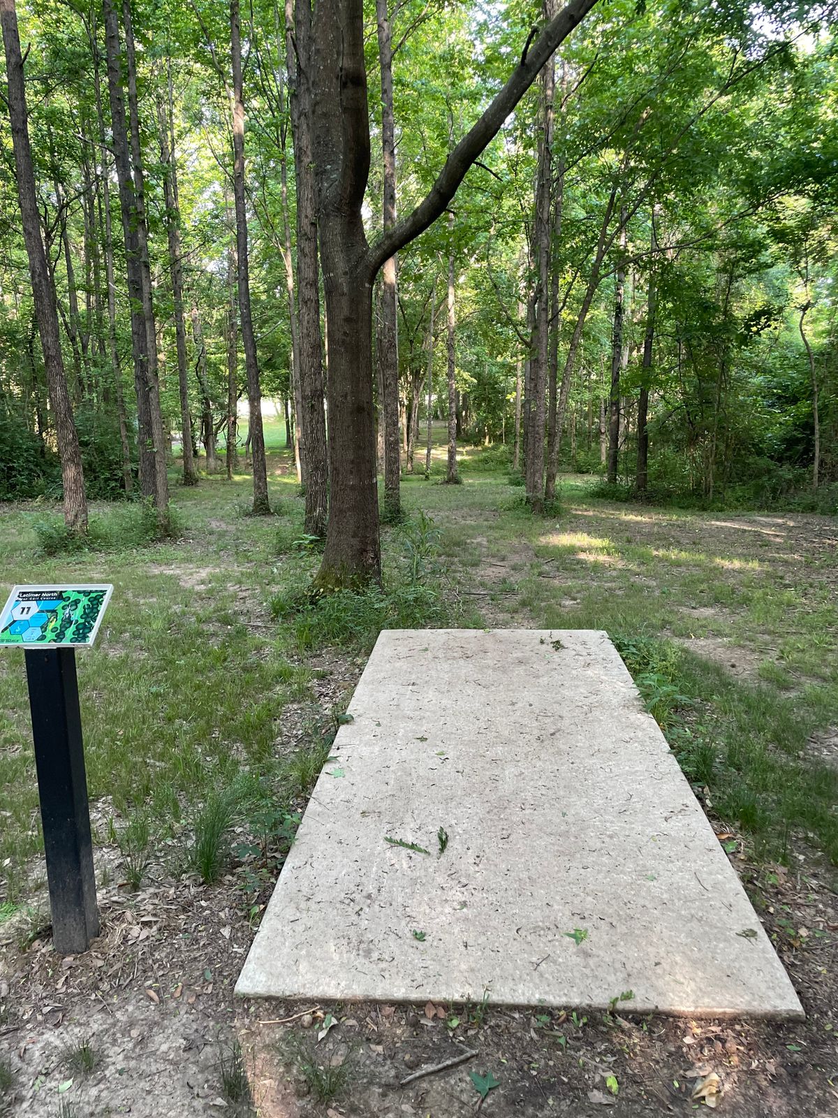 Hole 11