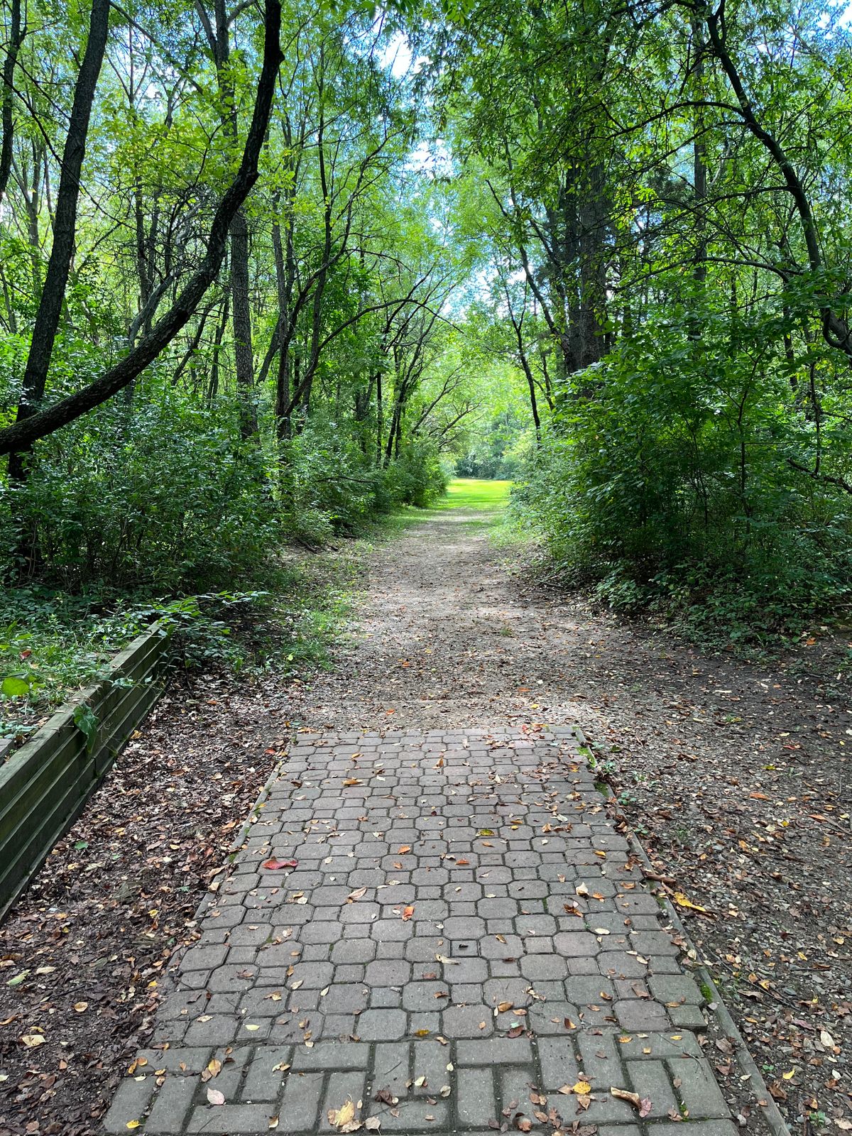 Hole 8