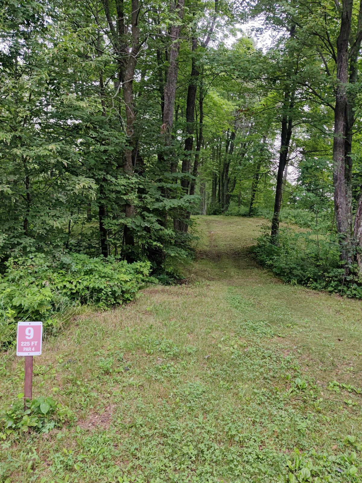 Tee 9