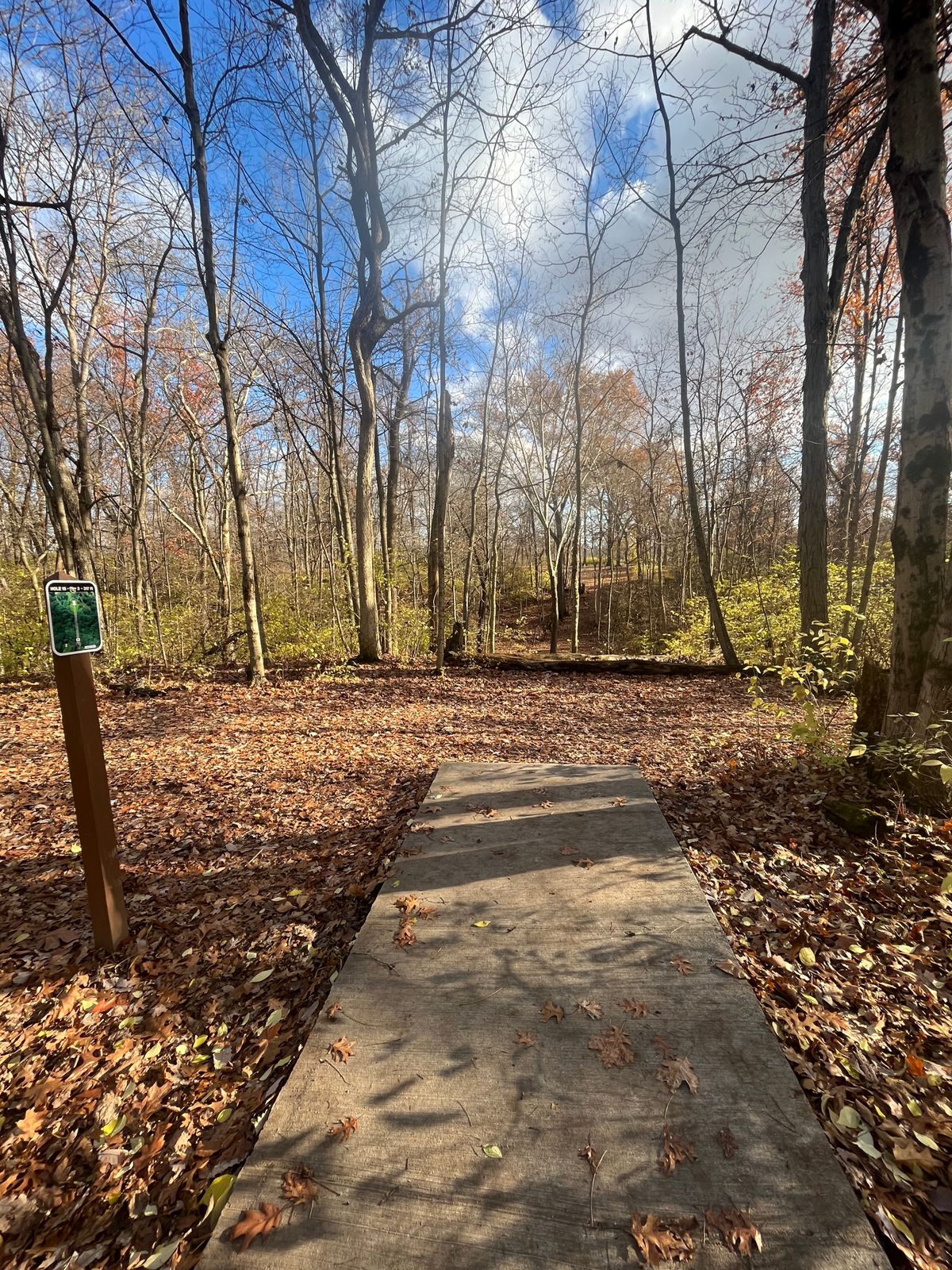 Wooded Ravine Hole 15