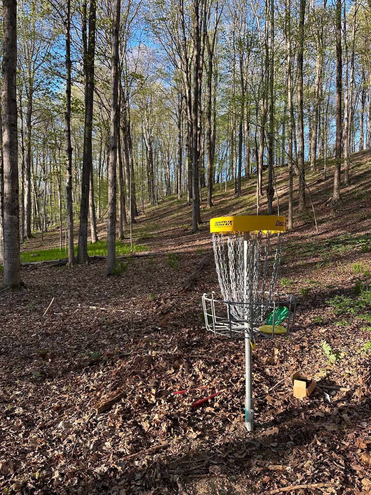 Hole 5 (1 of the Forest Loop) looking back