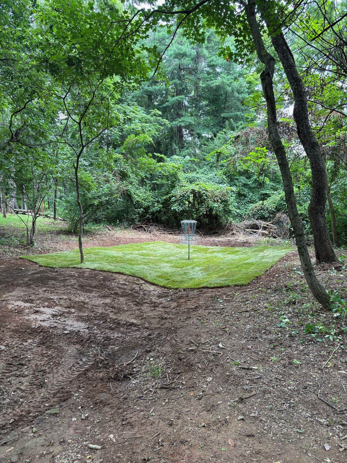 Hole 16 long pin