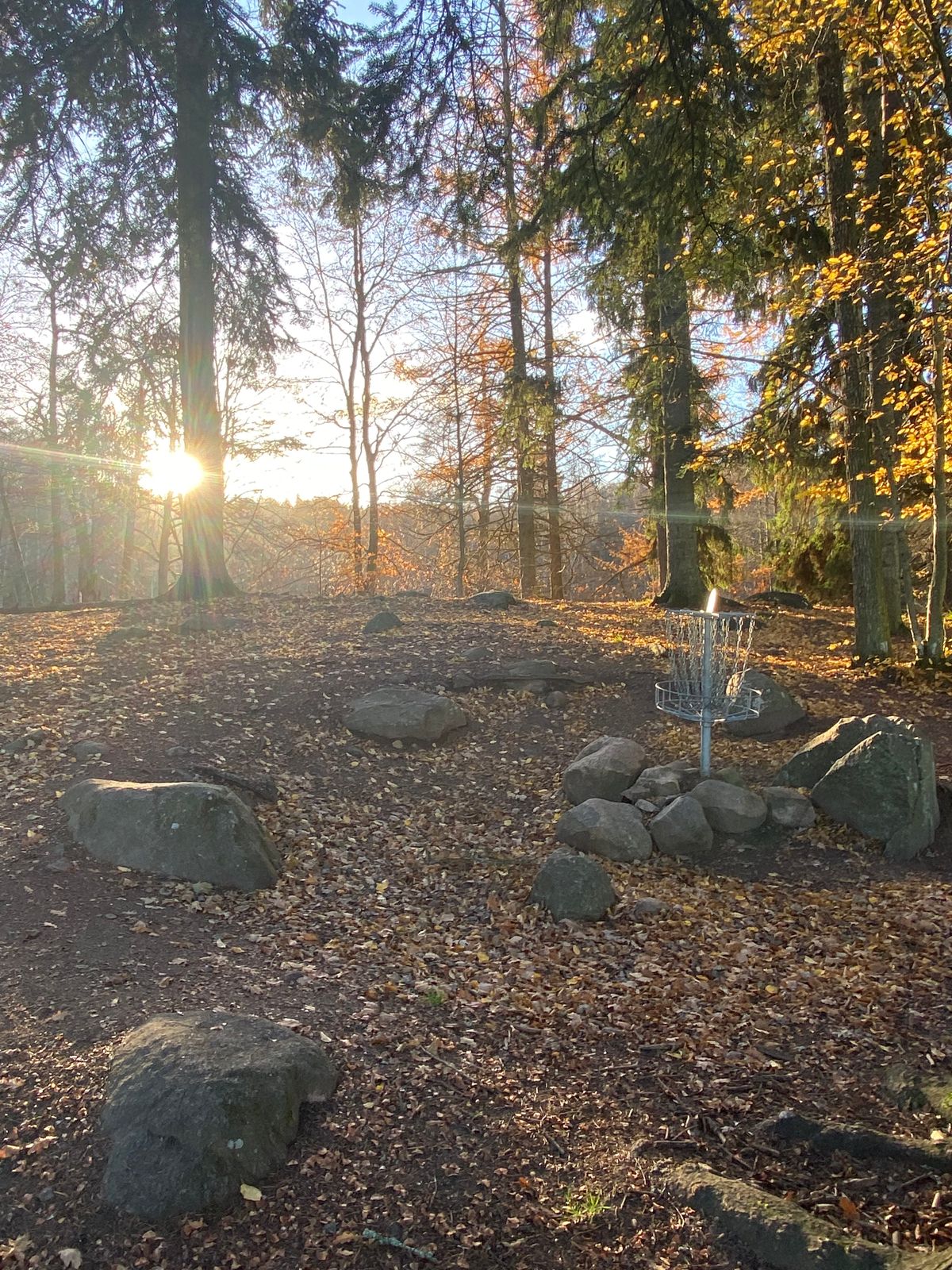 Hål 8, 2021-11-06.