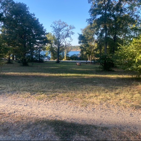 Heber Springs Slings Disc Golf - Splash Down Glow!