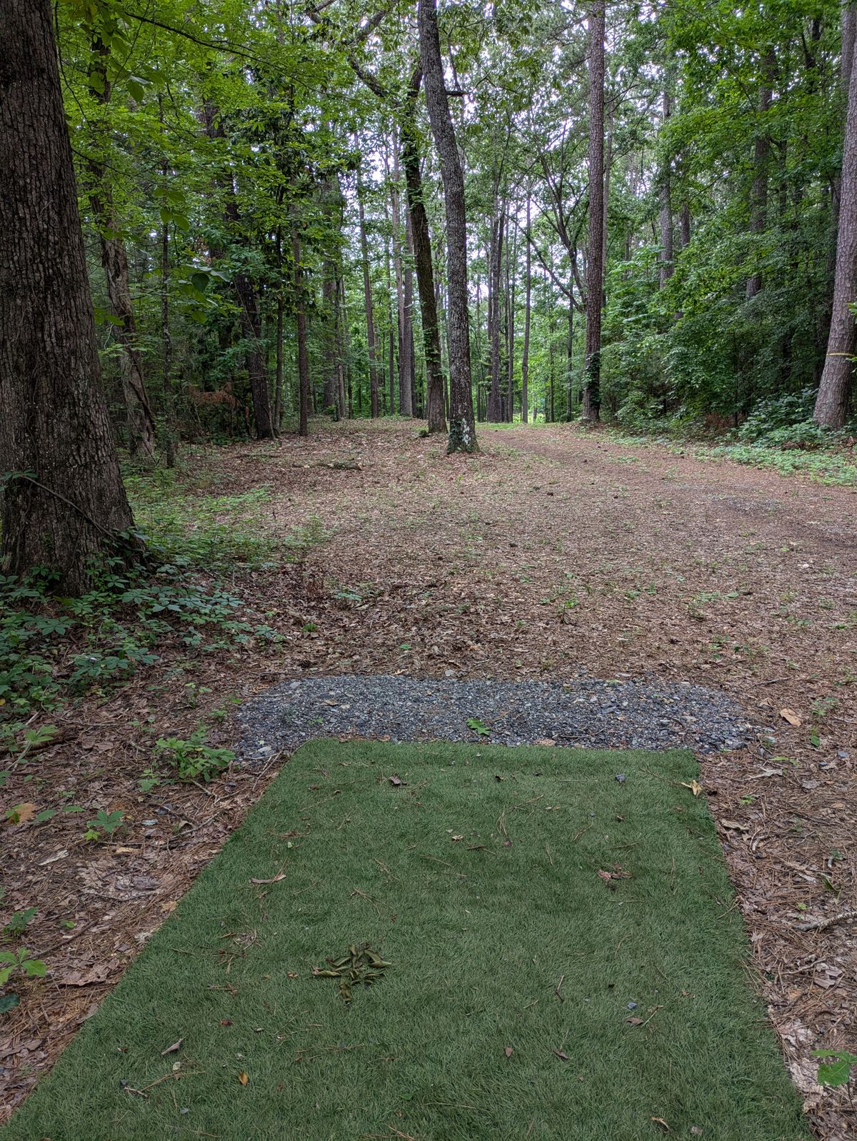 Hole 2 Tee box