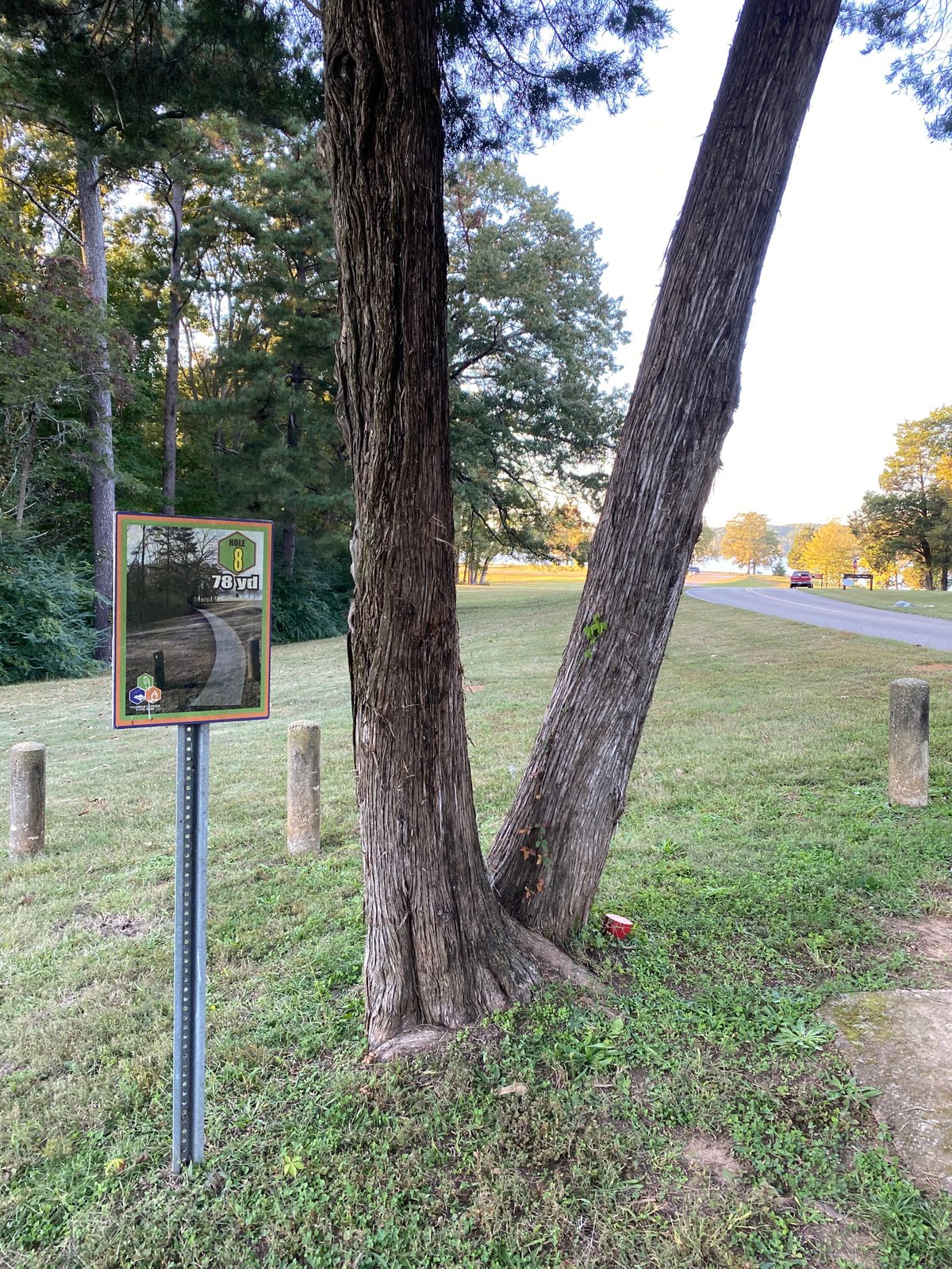 Hole 8- Basket in the woods to the left