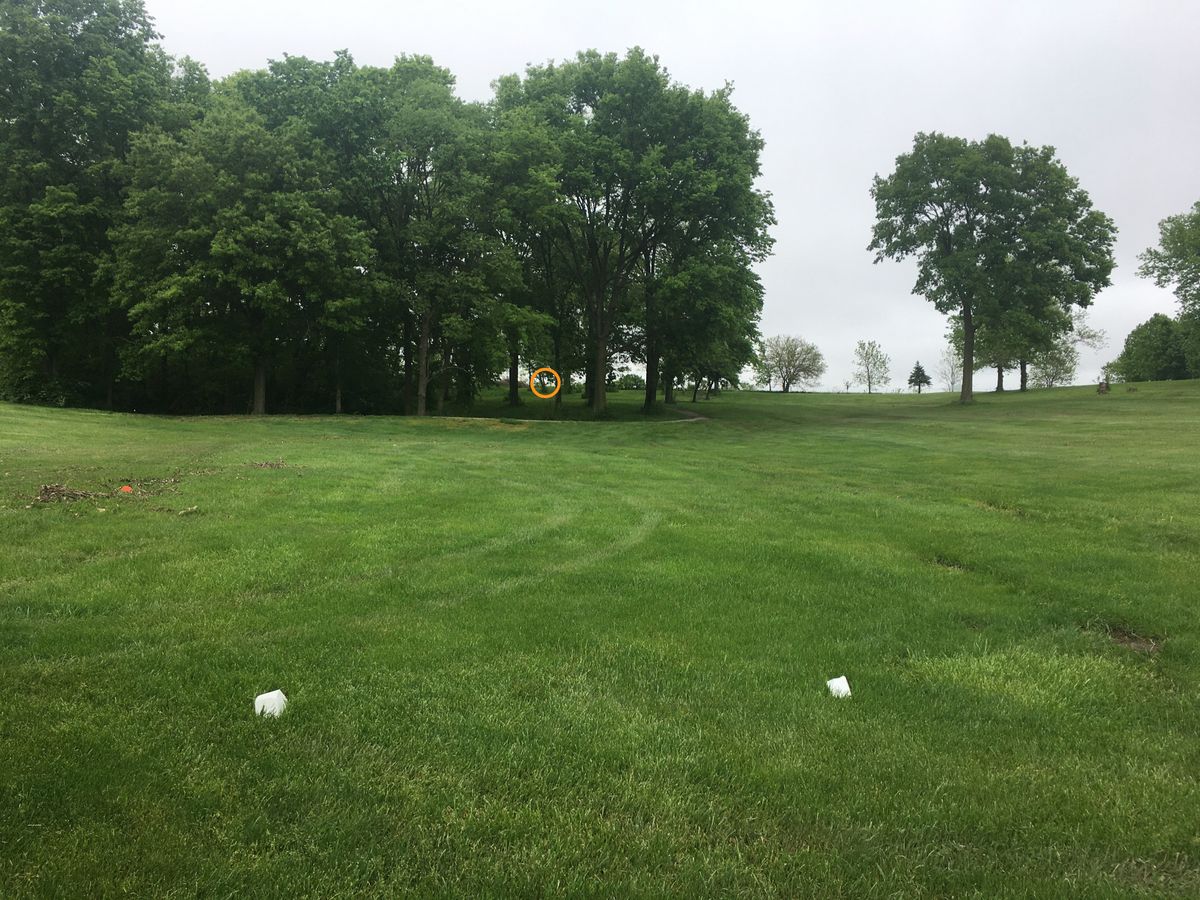 Hole 14 from the tee box