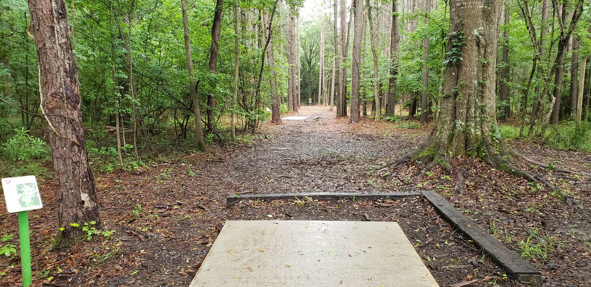 Hole 3 long teepad