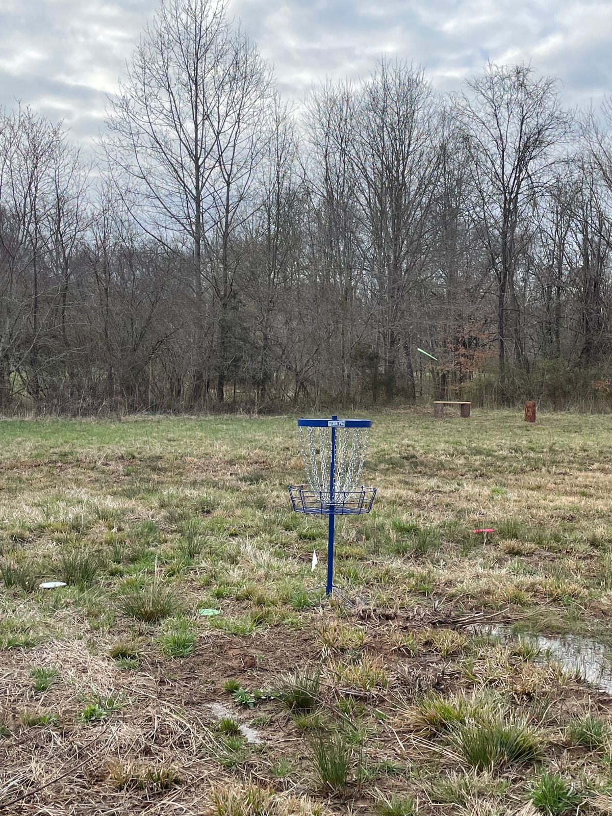 Hole 5’s basket