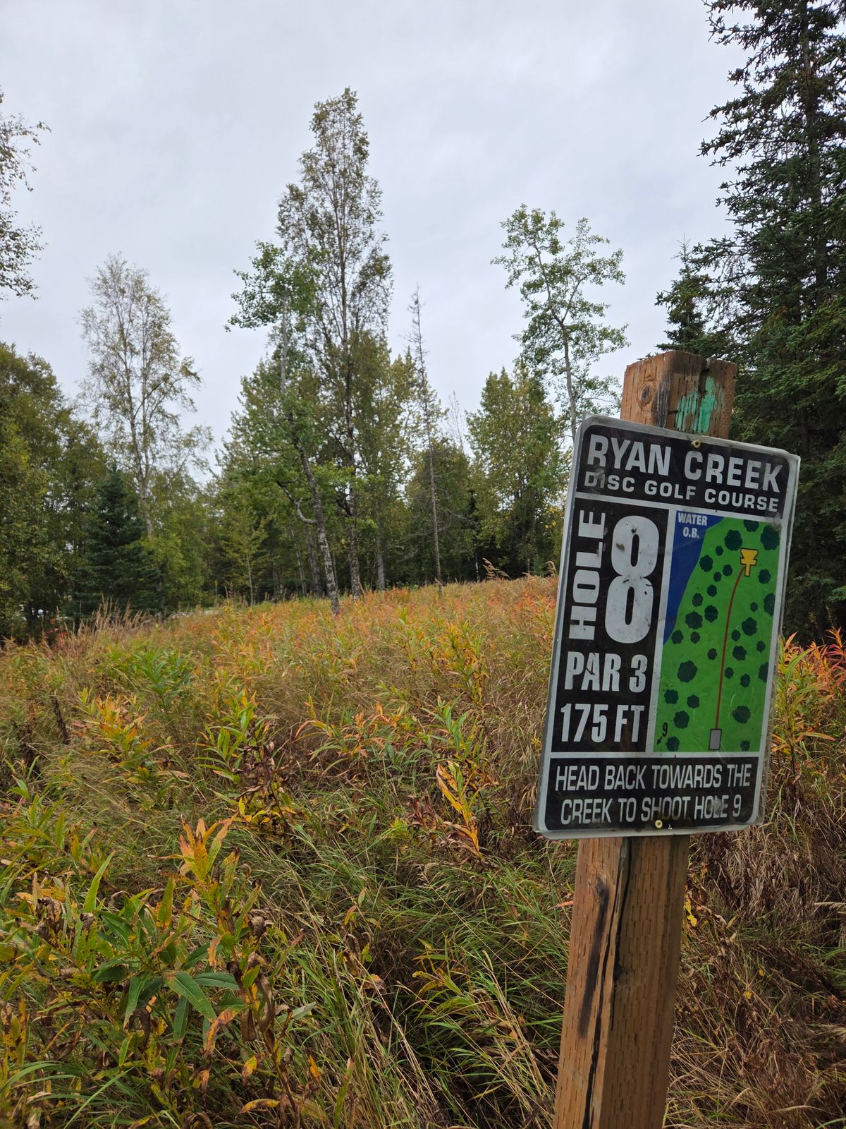 Hole 8 fairway