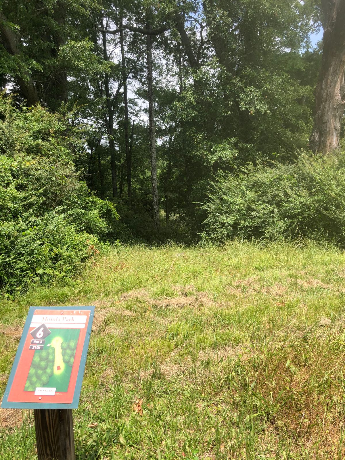 Hole 6