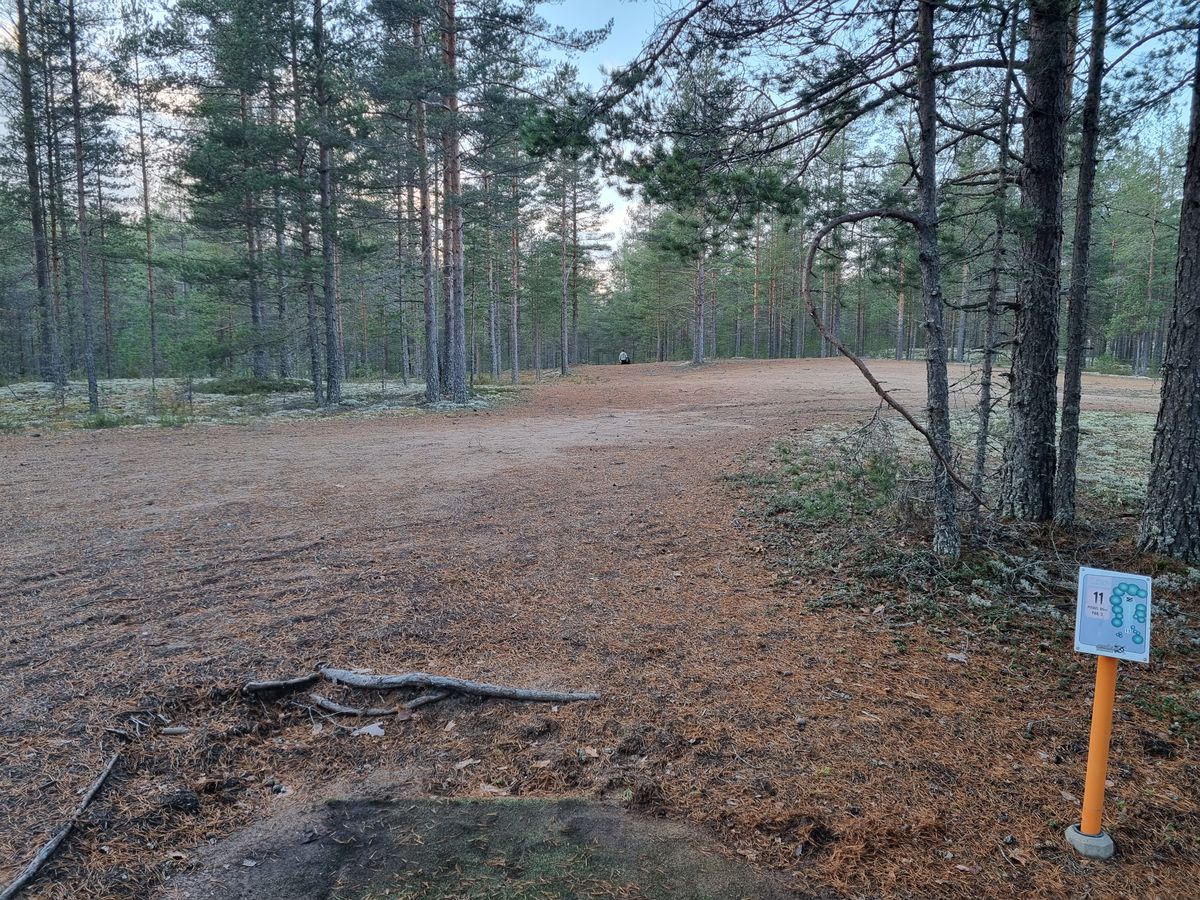 Väylä 11, suora linja korille, maasto korin luona viettää vahvasti vasemmalle