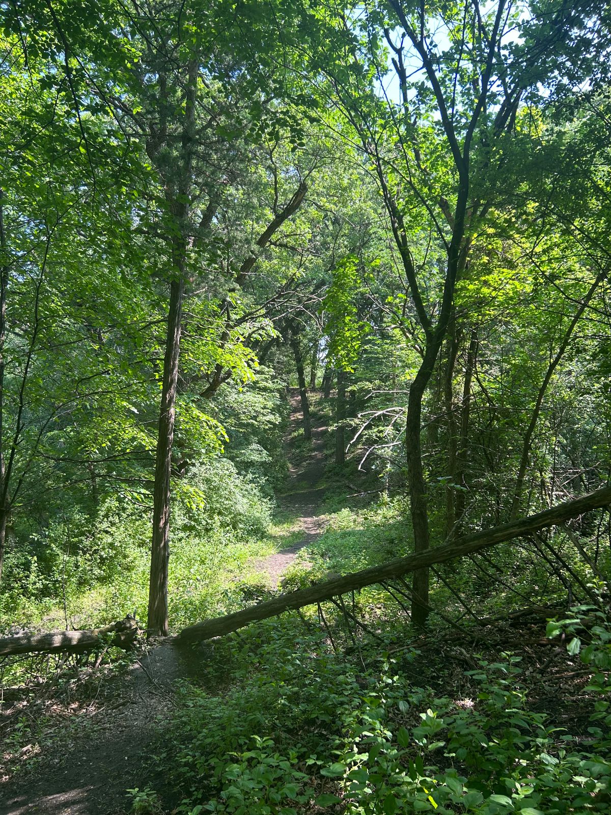 Hole 2