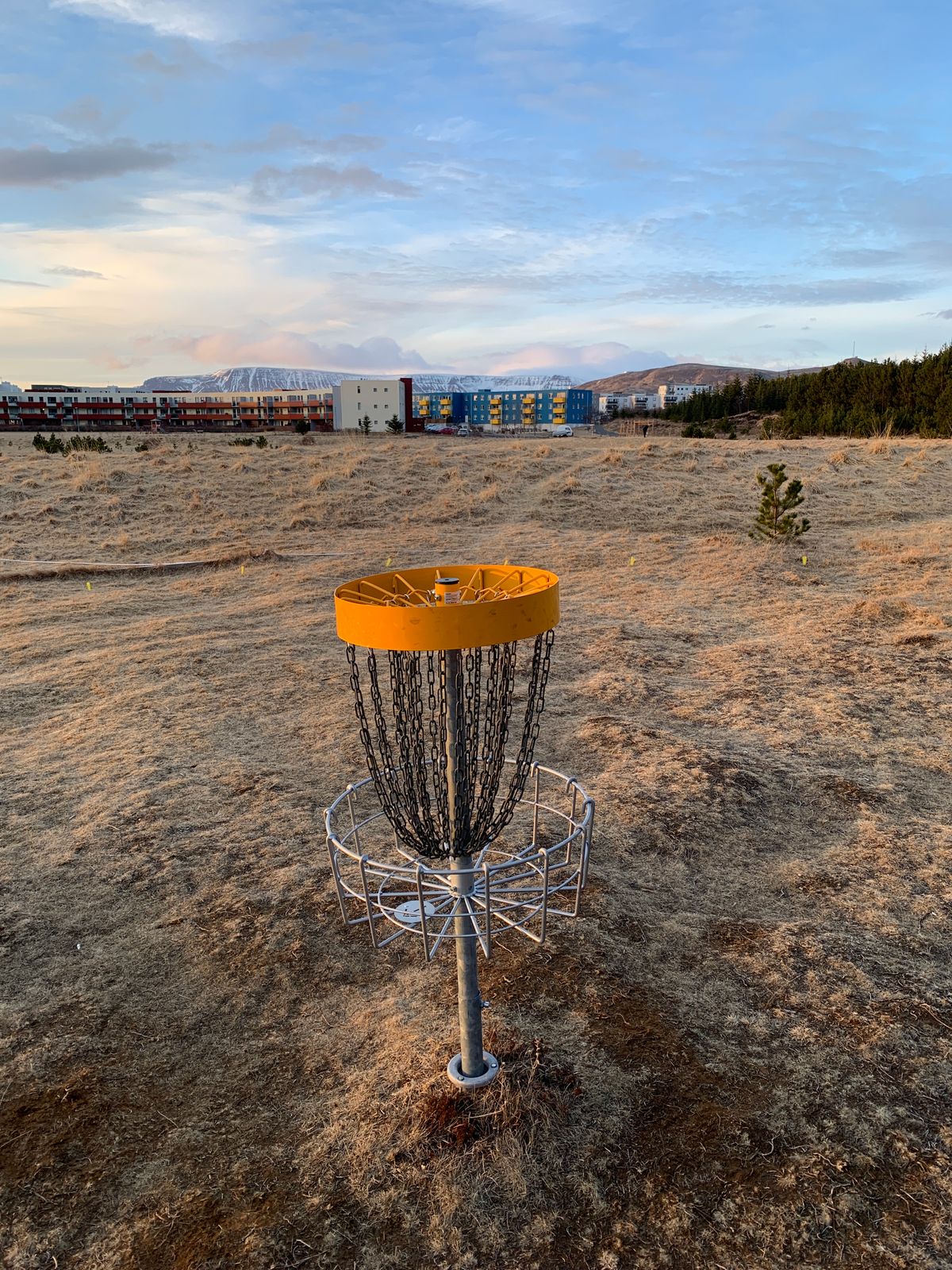 Hole 17 ..out of the woods again
