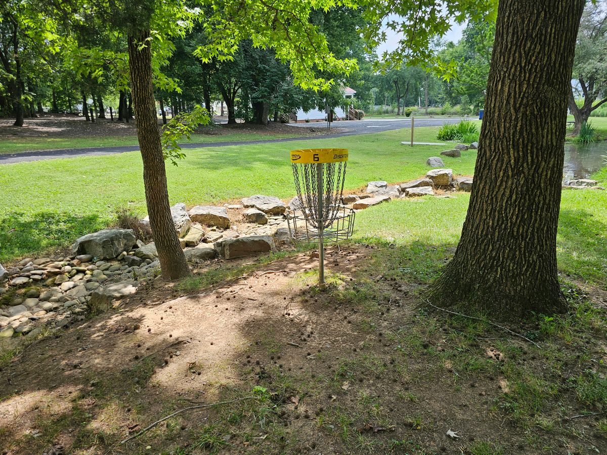 Hole 6's basket