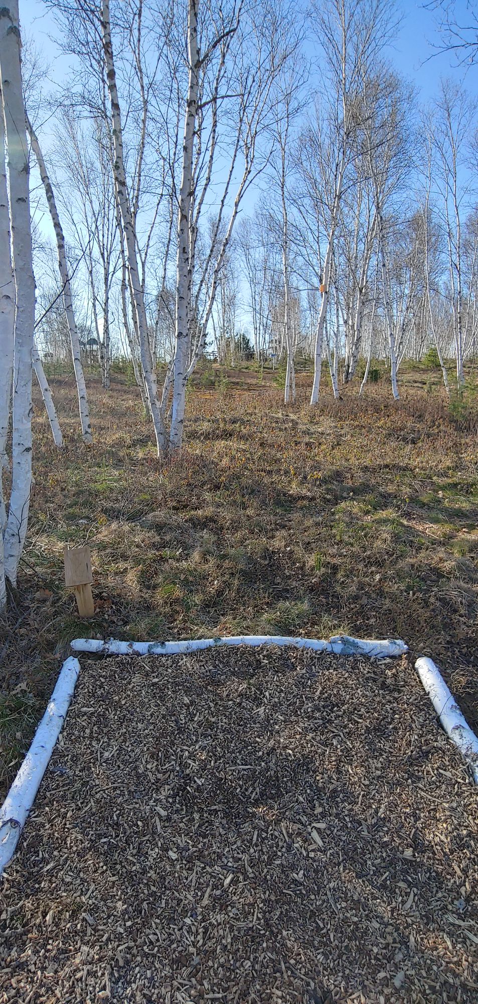 Hole 6 tee pad.