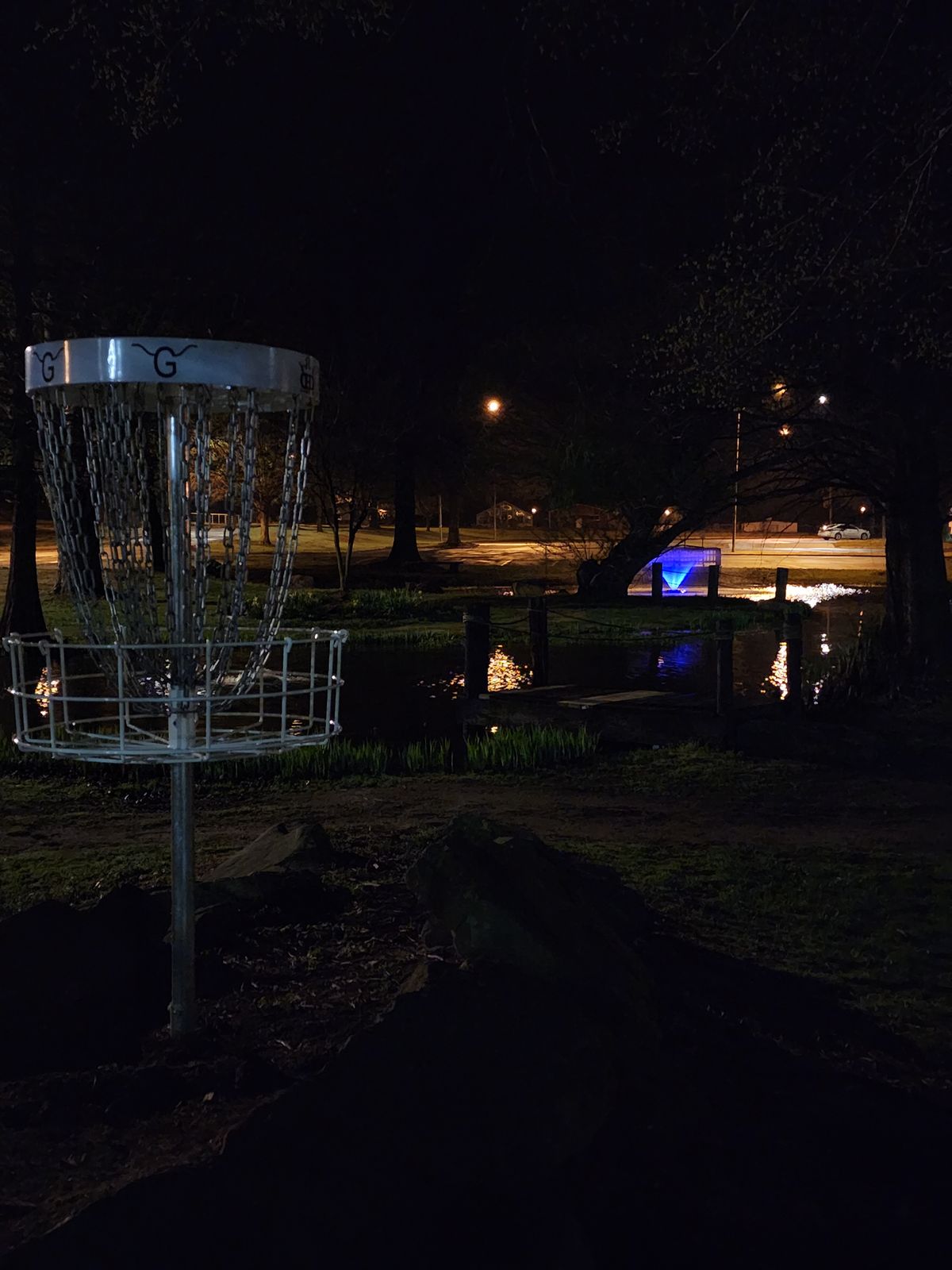 Hole 2 basket at night