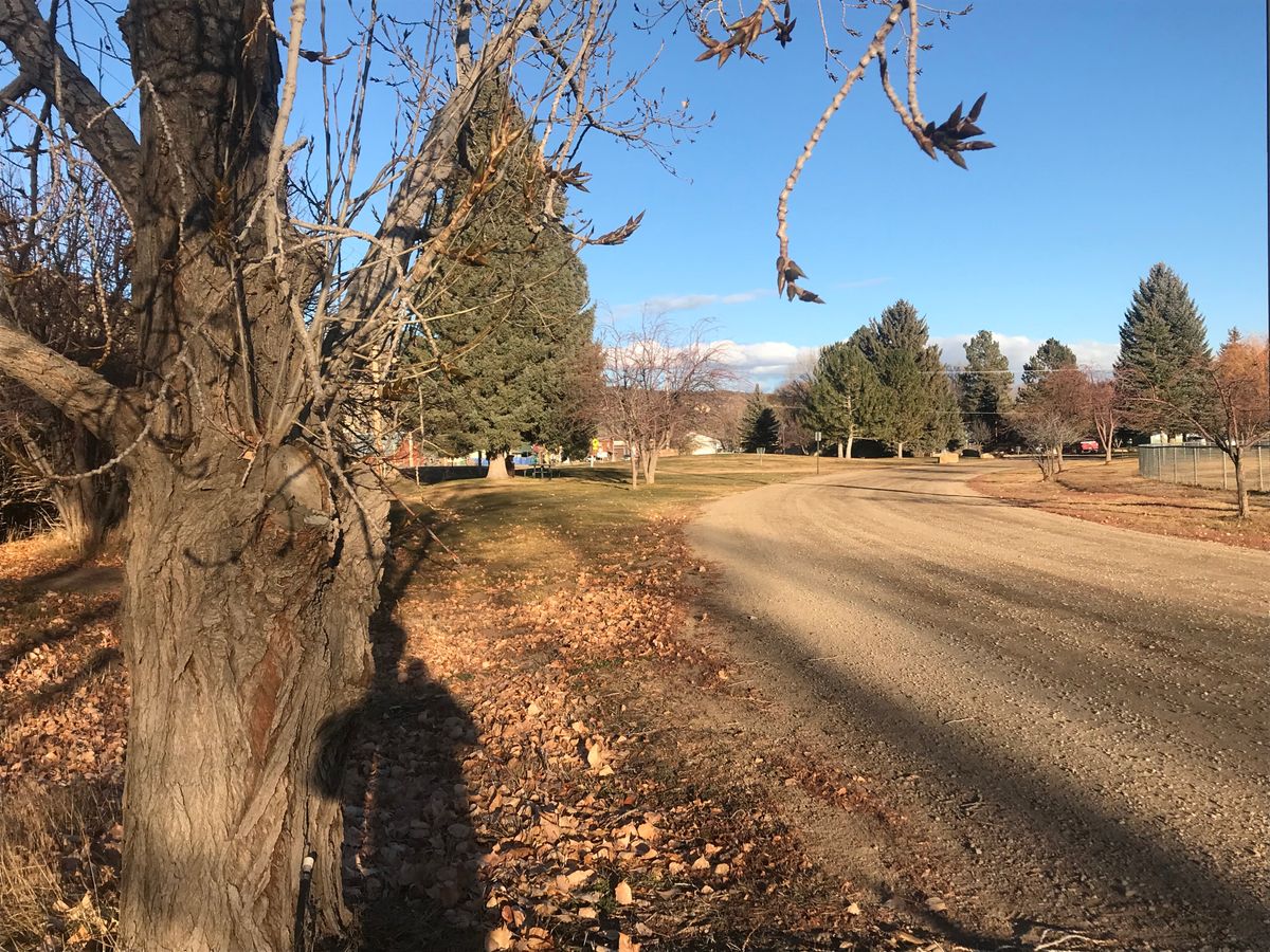 First tee plays from tree.
