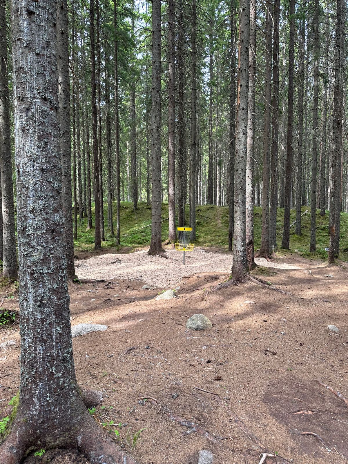 Hål 4