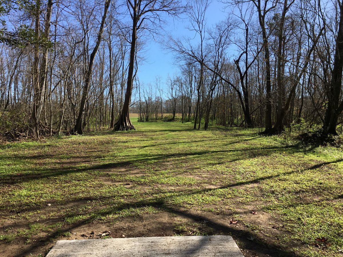Hole 14 Red Tee