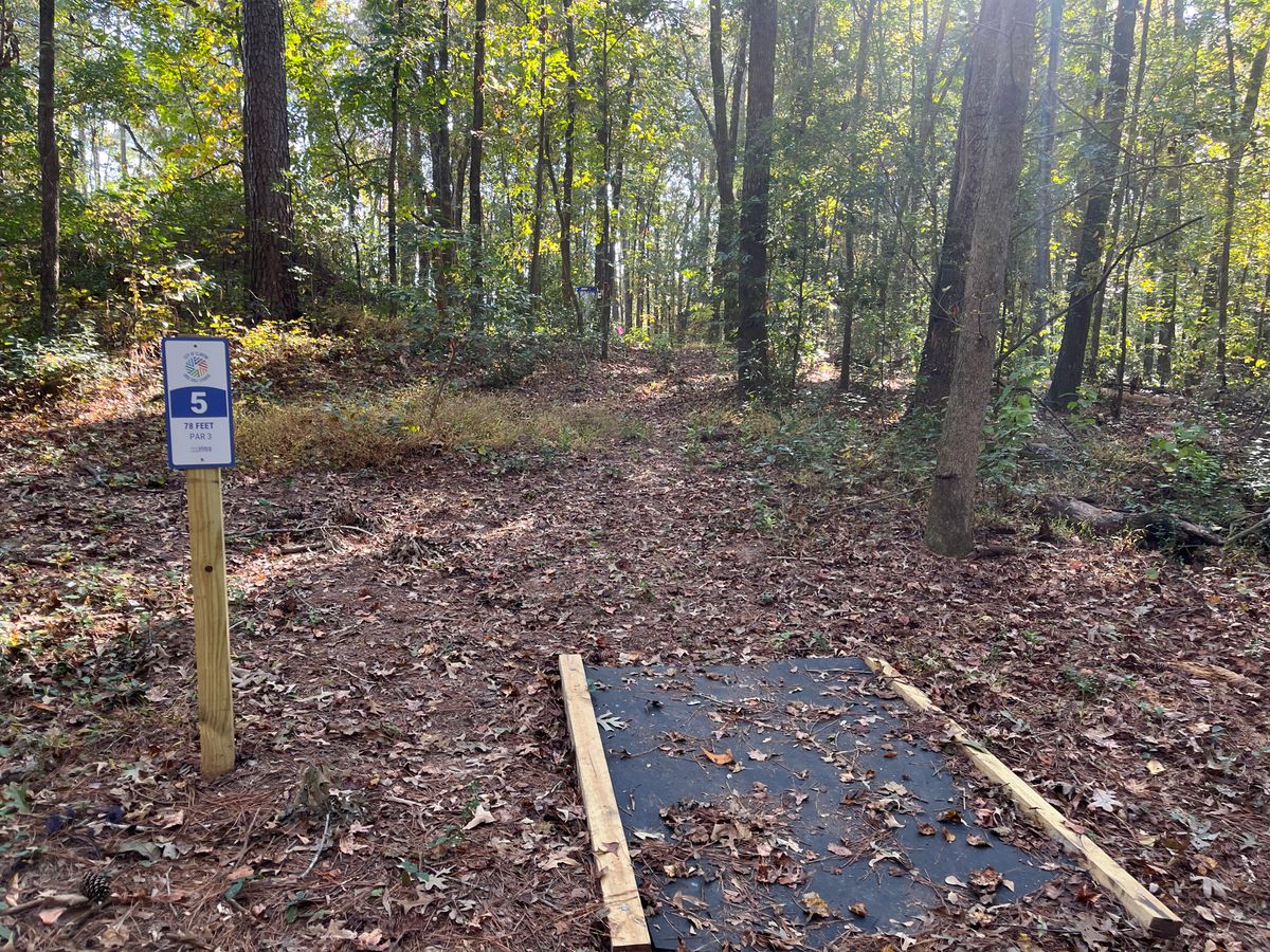 Hole 5 tee