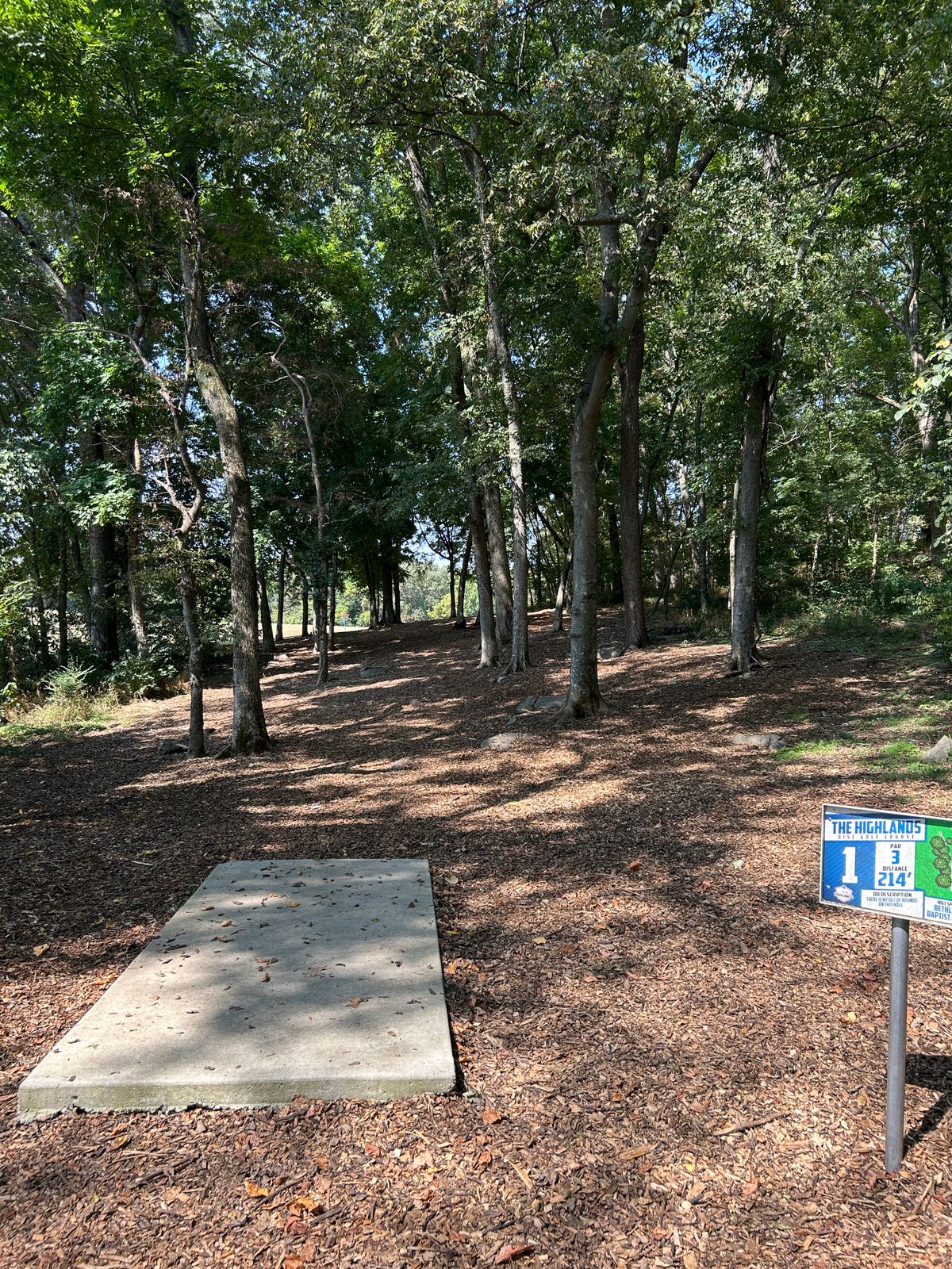 Hole 1 tee