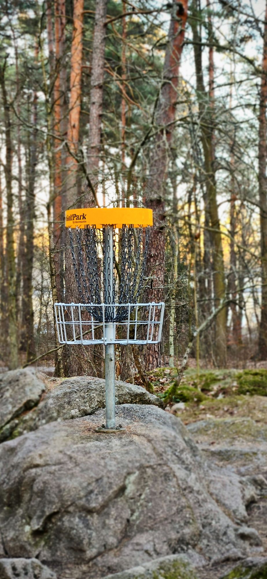 Hole 1 basket