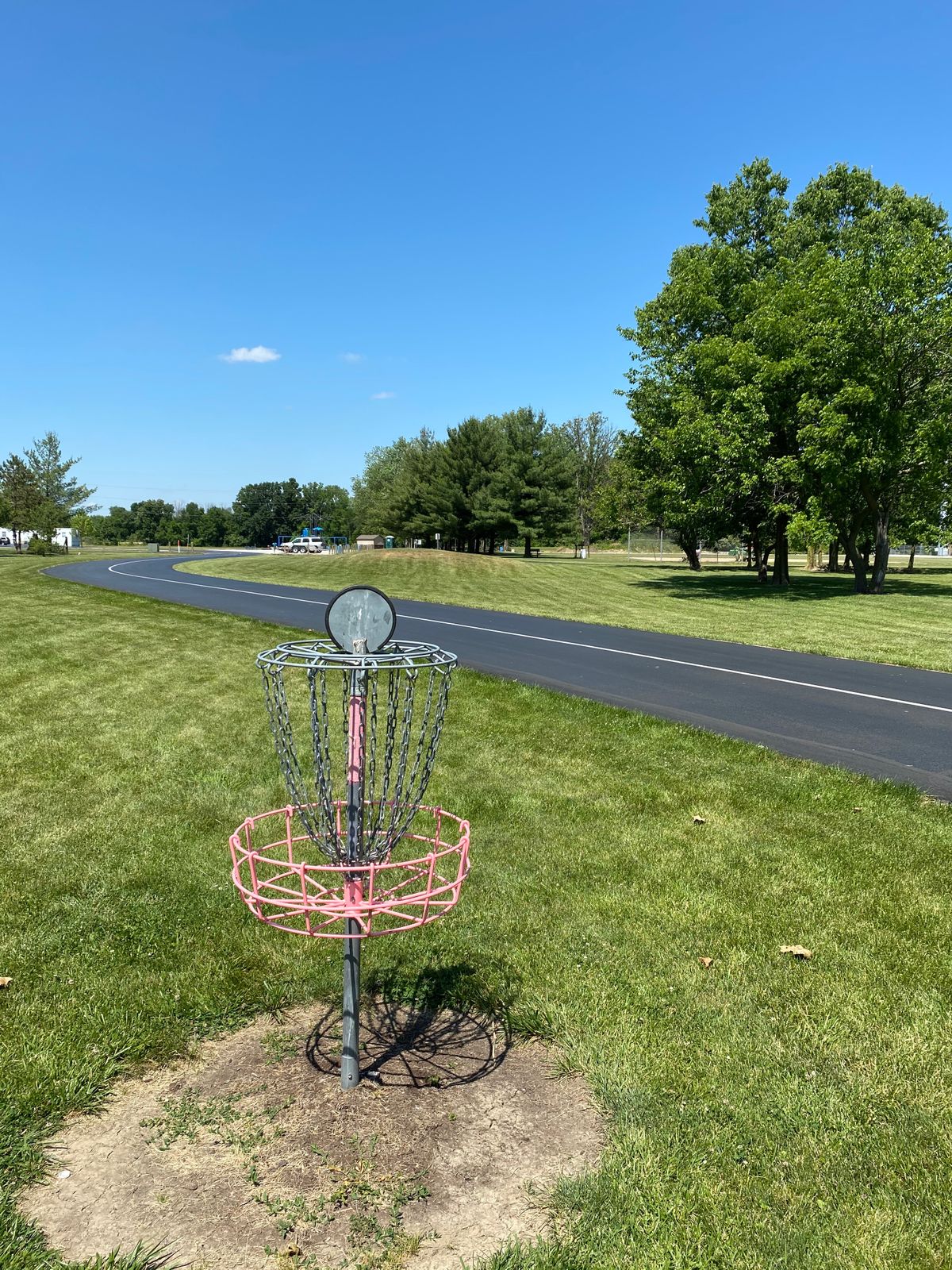 Hole 11 (Reverse)