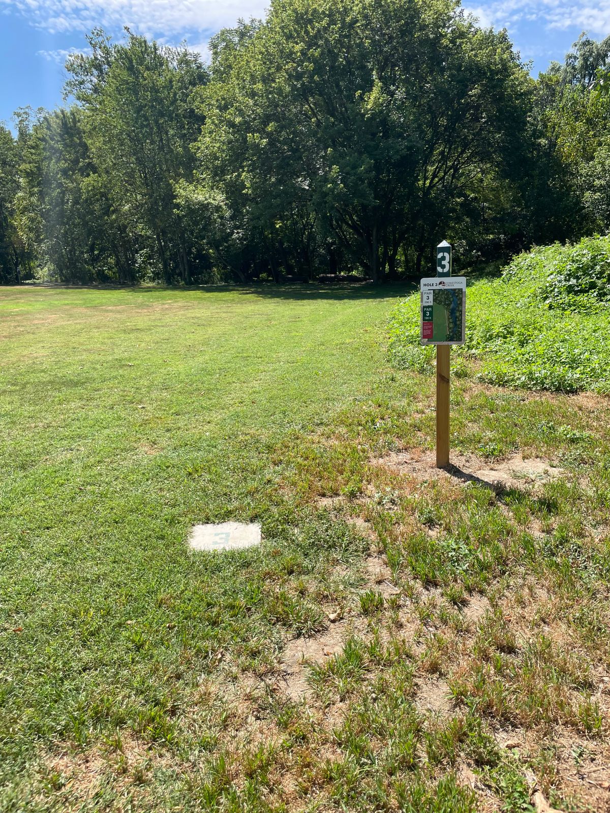 Hole 3 Green Tee