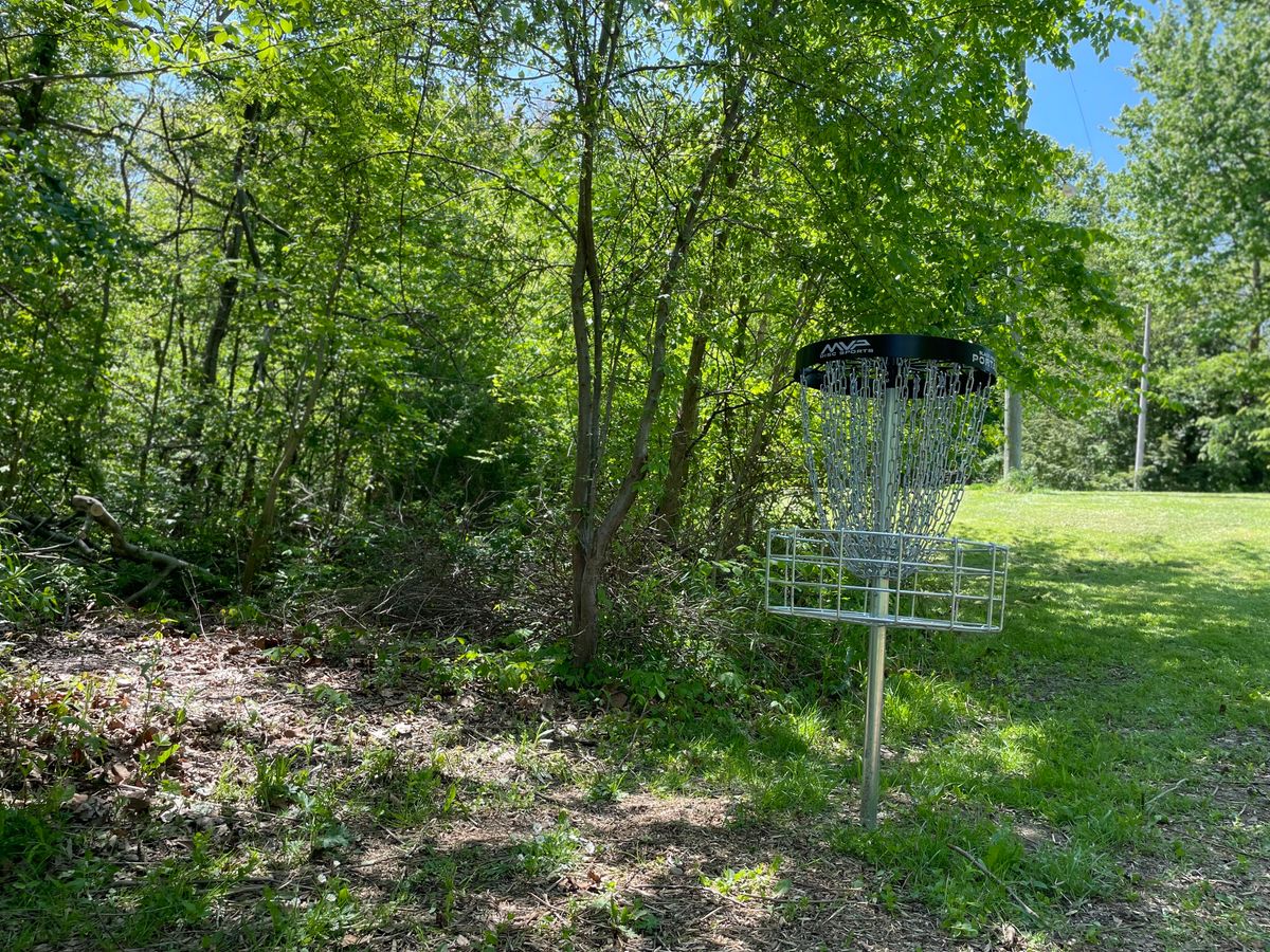 Hole 3 Basket