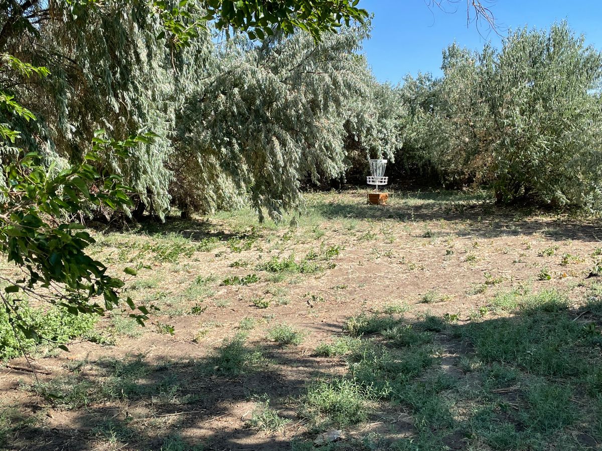 Hole 18 basket hidden around a dogleg to the left