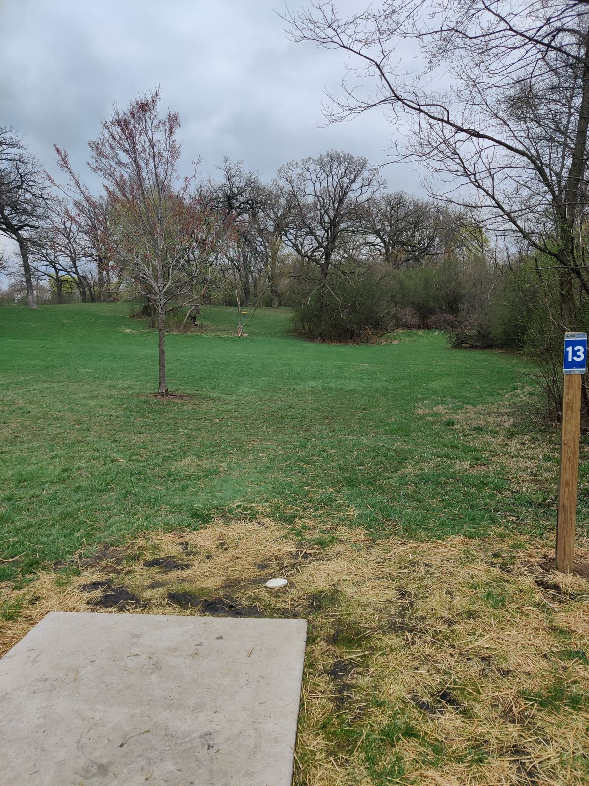 Hole 13 tee