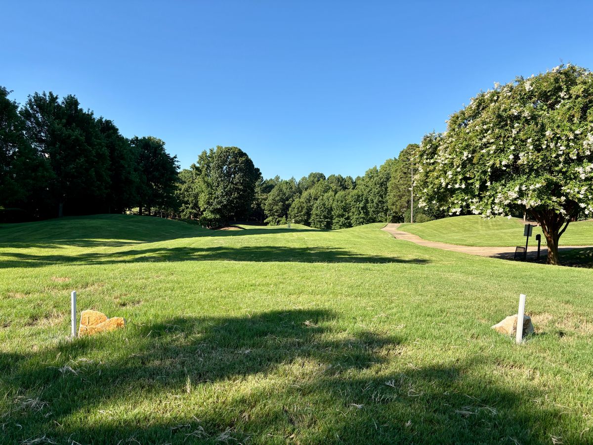 Hole 3 tee