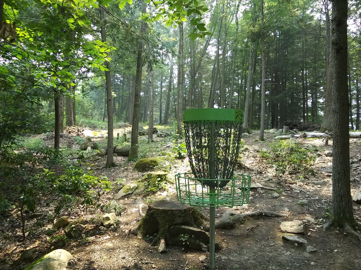 9's basket, looking back up fairway.